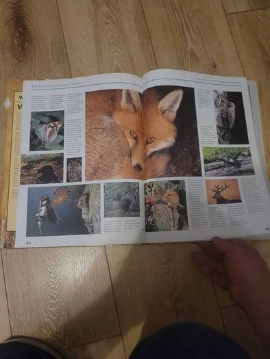 book wildlife