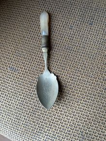 silver spoon