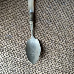 silver spoon