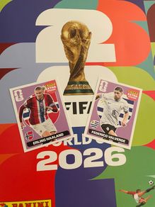 World Cup Extra Stickers