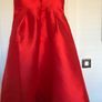 Coast Dress Image 8