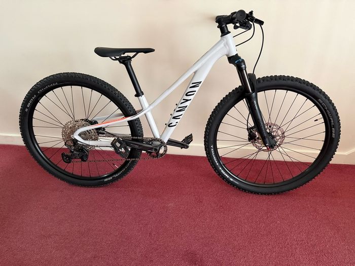 mountain bike