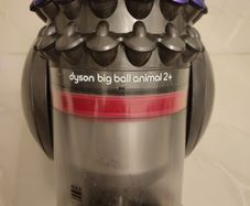 Dyson big ball animal 2+