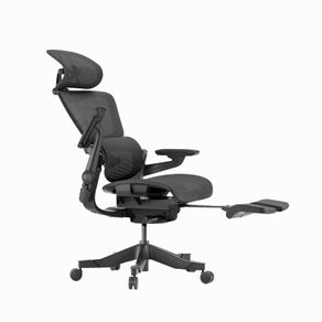 Hinomi H1 Pro Ergonomic Office Chair