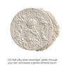 Flower Knows Little Angel Collection Embossed Highlighter in L03 Chanting Anthem Image 7