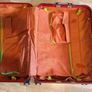 suitcase Image 2