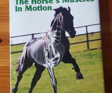 equine book. "The horses muscles in motion"