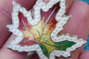 Antique  Large Sterling Silver Enamel Maple Leaf Brooch