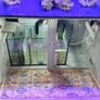 Fish tank Image 8