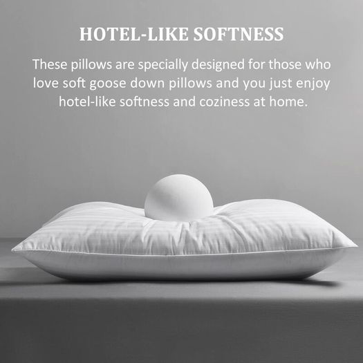 Downluxe Goose Down Pillows -  Queen Size (20"x28") x1