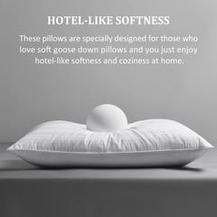 Downluxe Goose Down Pillows -  Queen Size (20"x28") x1