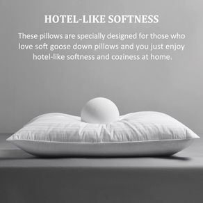 Downluxe Goose Down Pillows -  Queen Size (20"x28") x1