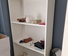 Bookcase-FREE