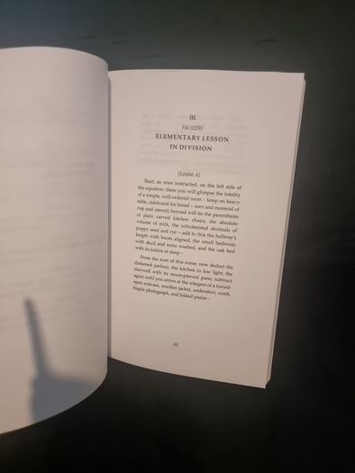 The Illegal Age (Soft cover)