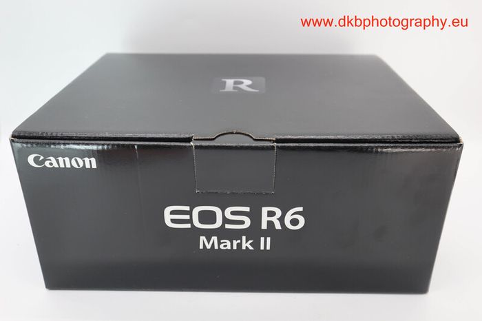 Canon Eos R6 Mark Ii Mirrorless Camera #0593