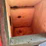 Bird Nesting Boxes Image 3