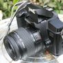 Canon Eos 5000 Image 4