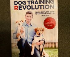 Dog training book