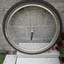 MTB front wheel Image 2