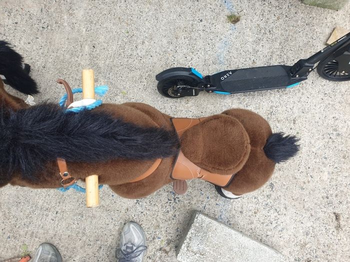 Pony Cycle Ride On Pony