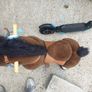 Pony Cycle Ride On Pony Image 5