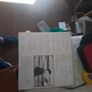 Vinyl.enya. Image 10