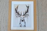 Framed Stag - ink/watercolour painting by Jennifer FitzGerald