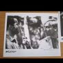 The Last Boyscout Press Kit Bruce Willis Image 6