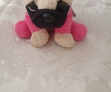 girlie paw pug dog plush