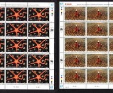 2005 United Nations (Geneva, Switzerland) Nature's wisdom Commemorative Stamps Sheets Mint Never Hinged (MNH).