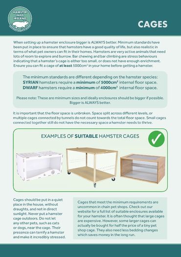 Hamster Care Guide