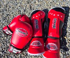 BRAND NEW Farabi kids 8oz boxing gloves and shin pads MMA BJJ fight gear training