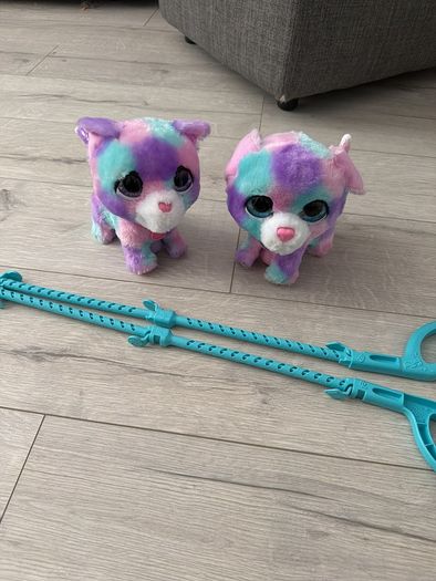 Surreal walk along pets