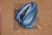 blue lanyard/badge holder