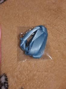 blue lanyard/badge holder