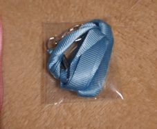 blue lanyard/badge holder