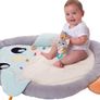 Penguin Play Mat Image 5