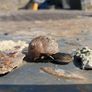 Benford cement mixer Parts Image 10