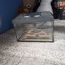 reptile tank Image 2