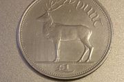 Irish Red deer coin from 1999, Free Post