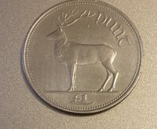 Irish Red deer coin from 1999, Free Post