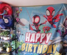 spiderman birthday bundle