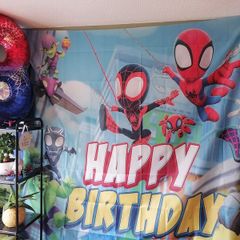 spiderman birthday bundle