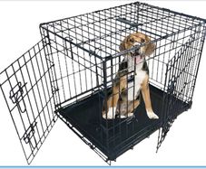 Dog crate