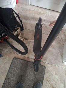 scooter