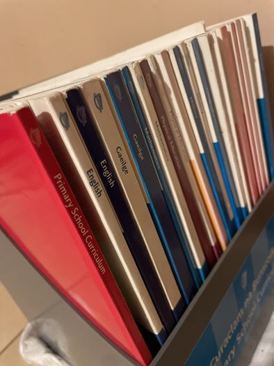 1999 Primary School Curriculum Books