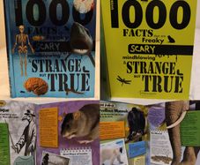 Over 1000 Facts That Are Freaky, Scary, Mindblowing, Strange But True  Hardback Book