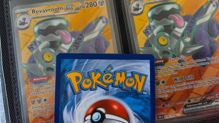 Morpeko ! Promo from Sword & Shield Era ! 2021 ! Pokemon Card !