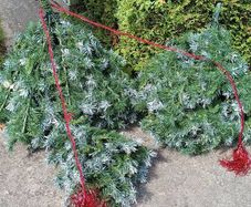 Christmas tree