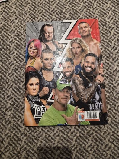 WWE Official Annual 2021-Little Brother Books Limited
